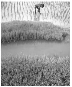 ctc_01_img0281.jpg